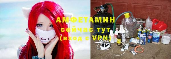 дмт Алексин