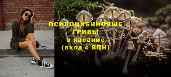 прущие крисы Алзамай