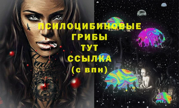 шишки Няндома