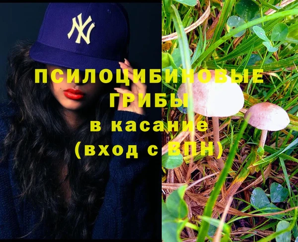 дмт Алексин