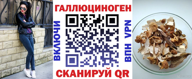 Псилоцибиновые грибы Psilocybe  Опочка 